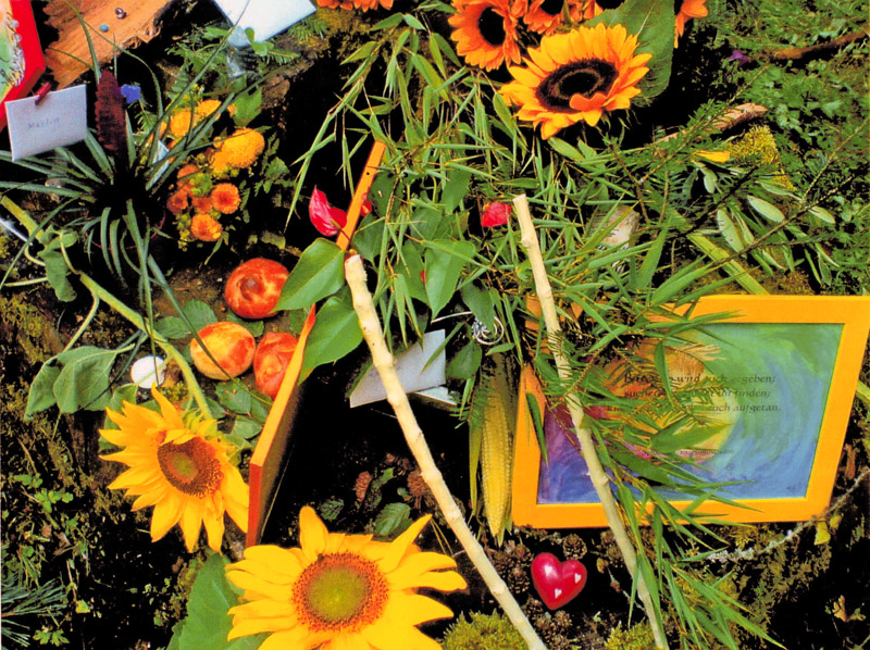 Zurück Index Weiter